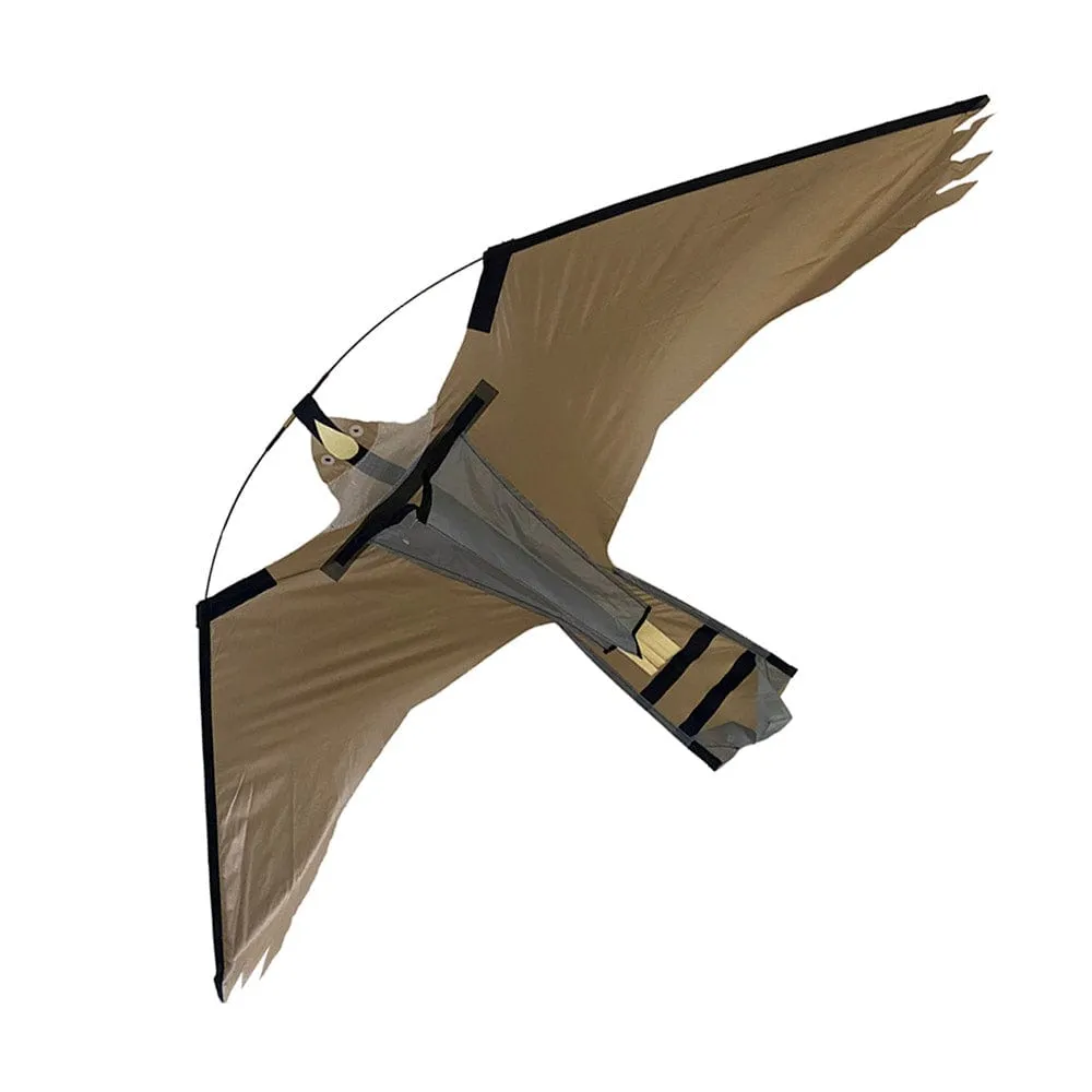 Falcon Kite with Fiberglass Pole