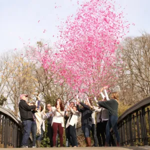 Gender Reveal Confetti Girl Popper