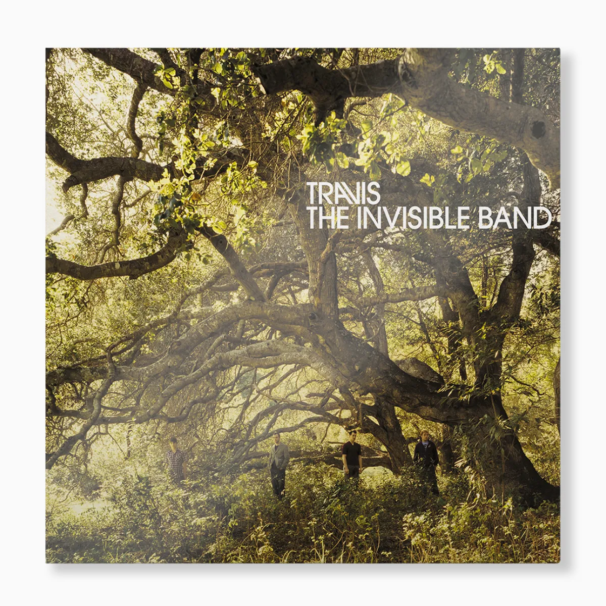 The Invisible Band (Limited Forest Green LP)